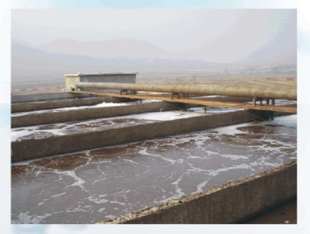 【生化污水处理】食品工业废水的概念和主要污染物